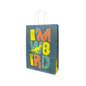 BOLSA FANTASIA 22x10x30 DINOS